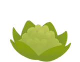 ひょっこり出てきたフキノトウ