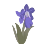 物言わぬ紫の花