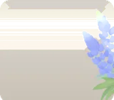 花咲くルピナス
