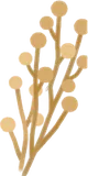 素朴な枯草