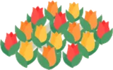 ミニチューリップ