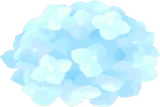 青色の紫陽花