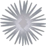 落ちた綿毛