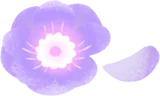 天を仰ぐオーロラの森のアネモネ