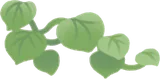 縁に這うつる草