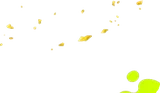細やかな金箔
