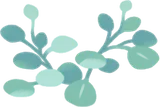 丸葉の温室の植物・緑