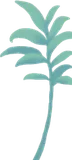 高く伸びる温室の植物