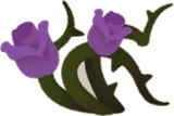 繁殖するイバラ1