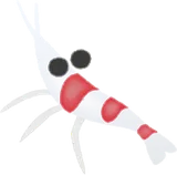 小エビのフィギュア