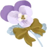 不思議な紫色の花