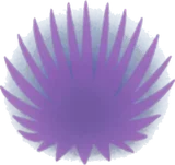 ファープラント・紫