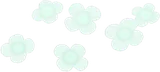 冬の白いお花