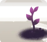 地面から伸びた植物