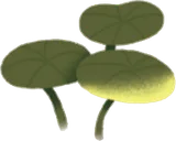 小さな水草・右