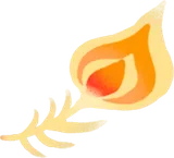 美しい鳥の羽根
