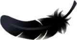 漆黒の羽根