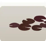 ひっそり浮かぶ睡蓮の葉