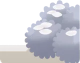 花びらがのる茂み
