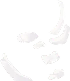 埋まった骨・奥