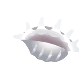 トゲマキガイの貝殻