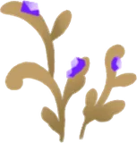 地底に芽吹く金色の草