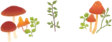きのこの丘