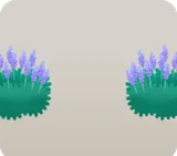 ラベンダーの茂み