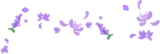 浮遊花びら・紫