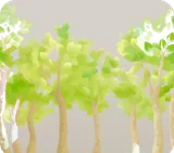 アウトドアの林