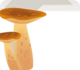 香り高いキノコ