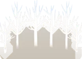 冬の木立