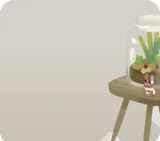 多肉植物とスツール