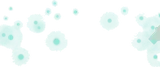 水に集まる発光虫