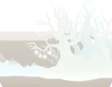 幽遠の白い木々