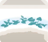 温室の水辺・緑