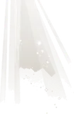 庭園に降り注ぐ光