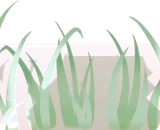 高く生い茂る雑草