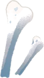 骨のようなもの