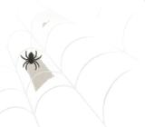 クモの巣の壁飾り