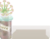 ハナタバモウセン