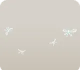 洞窟を飛び回る虫