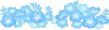 遠くに咲くネモフィラ