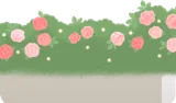 パールのあるバラの茂み・奥