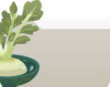 大根のリボベジ