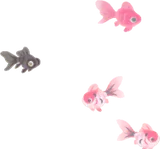 揺蕩う金魚の幻影・奥
