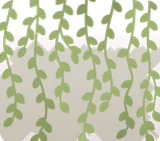 生い茂る日除けのつる植物