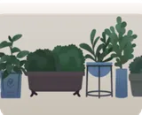 バルコニーに並べたプランター