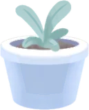 小さな鉢植え