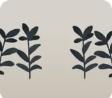 色褪せた草・黒